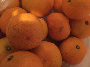 またまた素敵な変化があったようです(≧∇≦)