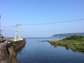 自然人、仙人?とチャイと中国茶