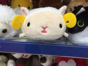 脳みそぱっかーん!?なアカシックレコード個人セッションのご感想頂きました!(≧∇≦)