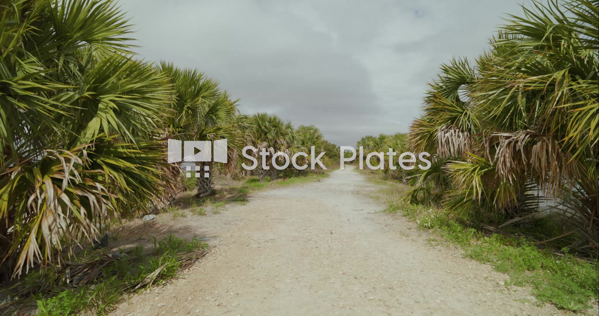 Florida Dirt Road Background Video Plate Watermarked Preview