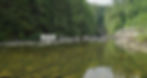 Vancouver Canada Creek Background Video Plate Watermarked Preview