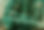 _edited.jpg