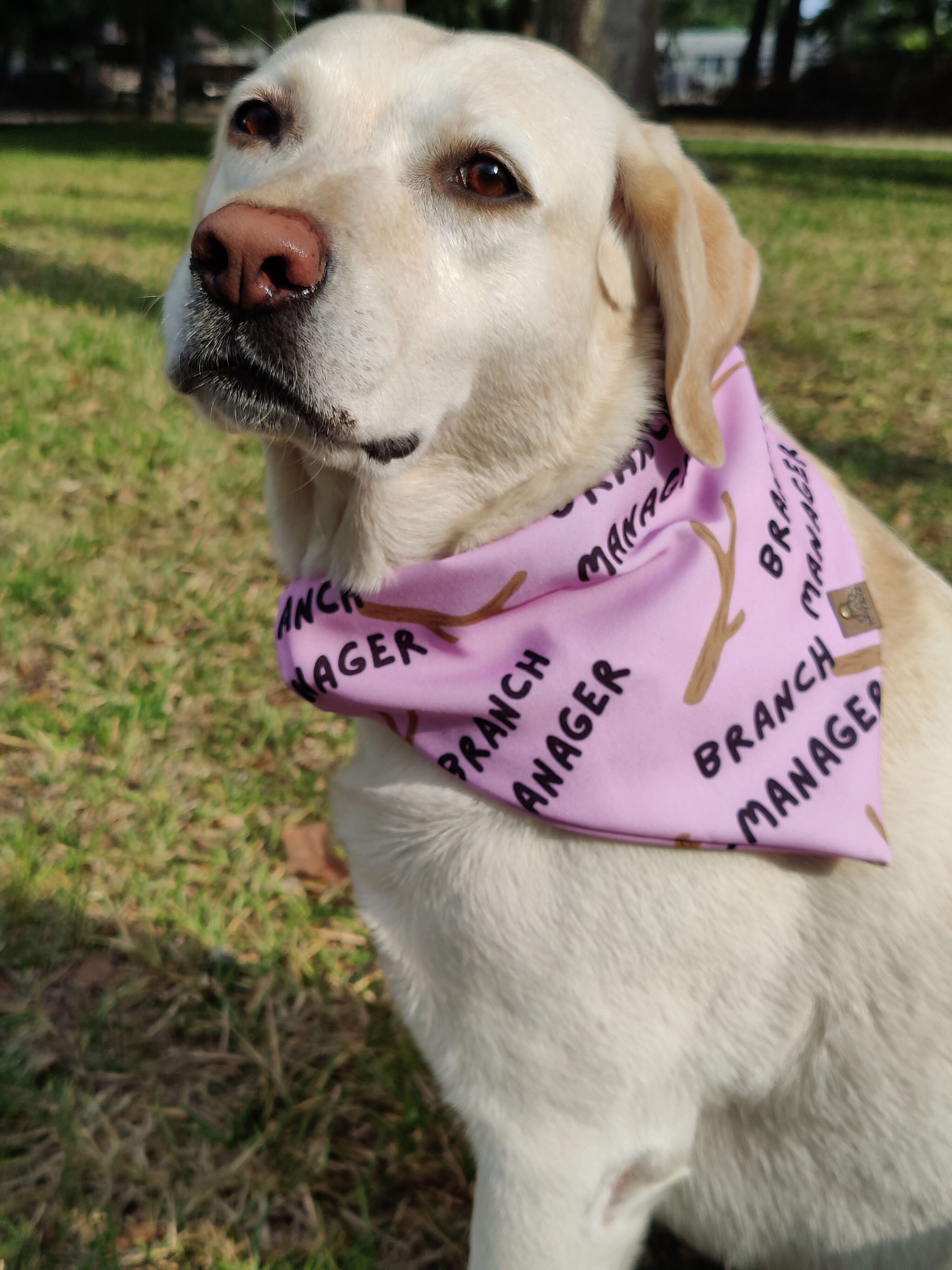 Branch Manager Slip On Bandana