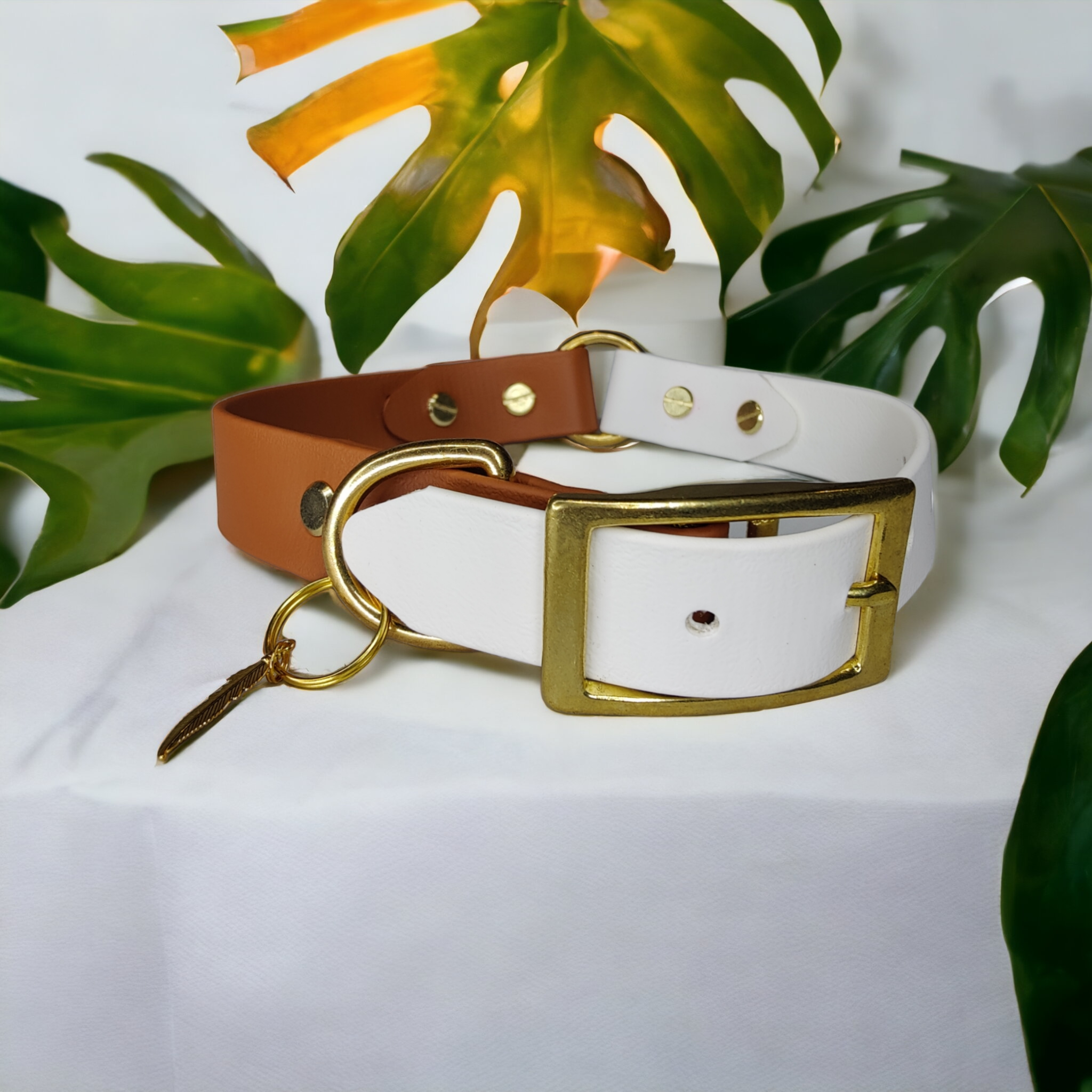 Alpine Terracotta Biothane Collar