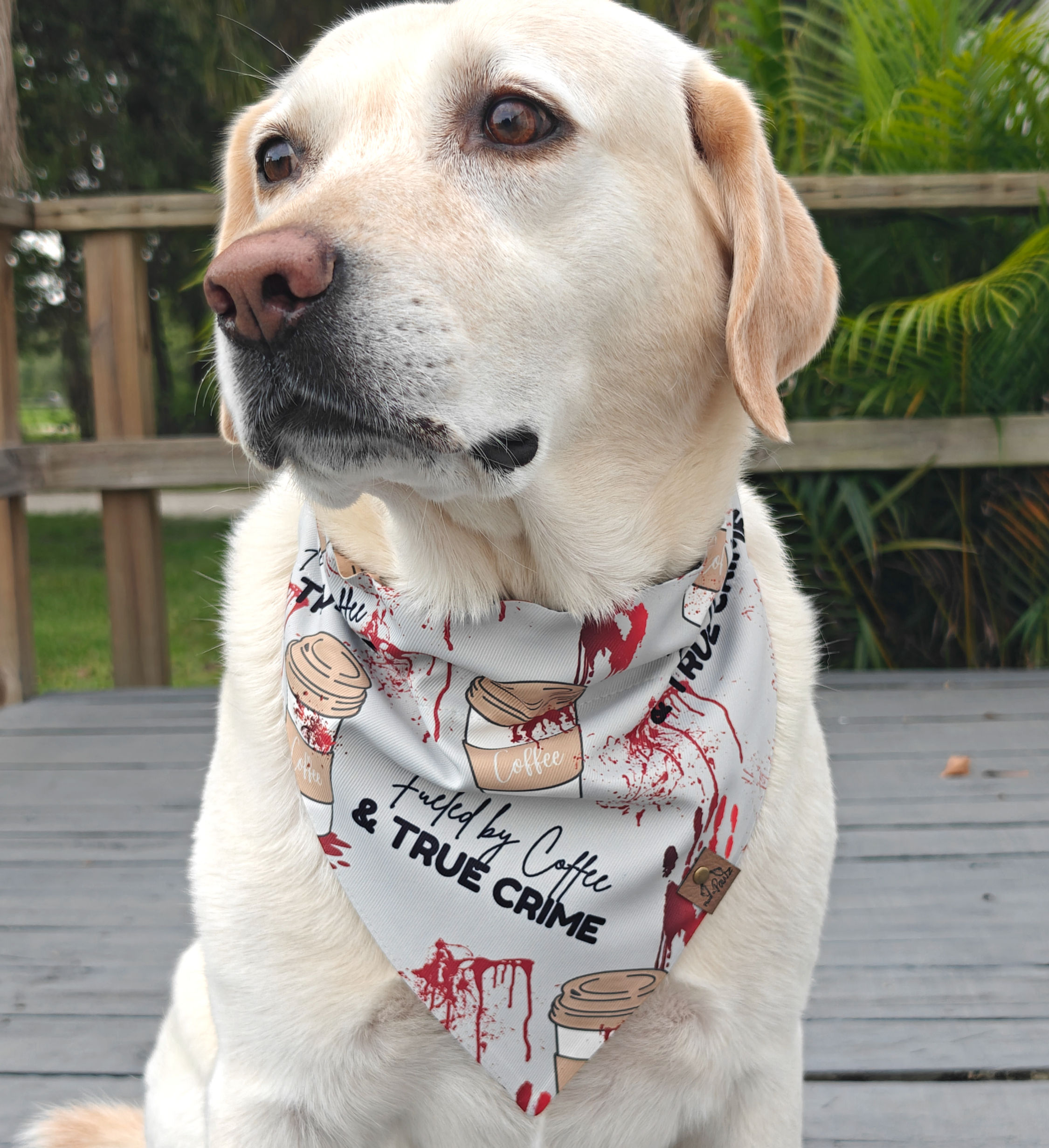 Coffee & True Crime Slip On Bandana