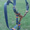 Thumbnail: Biothane Harness