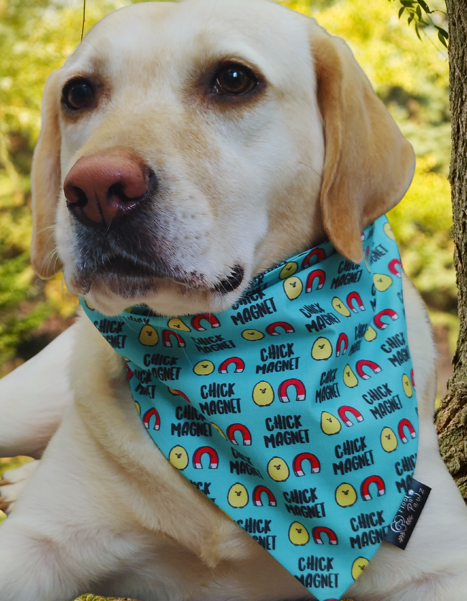 Chick Magnet Slip On Bandana