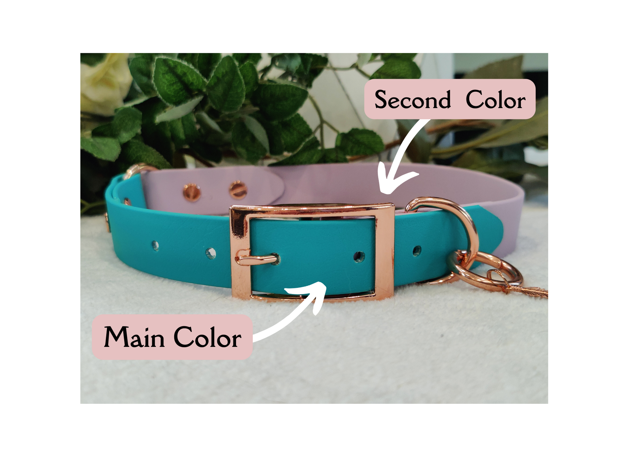 Customize your own Biothane Collar