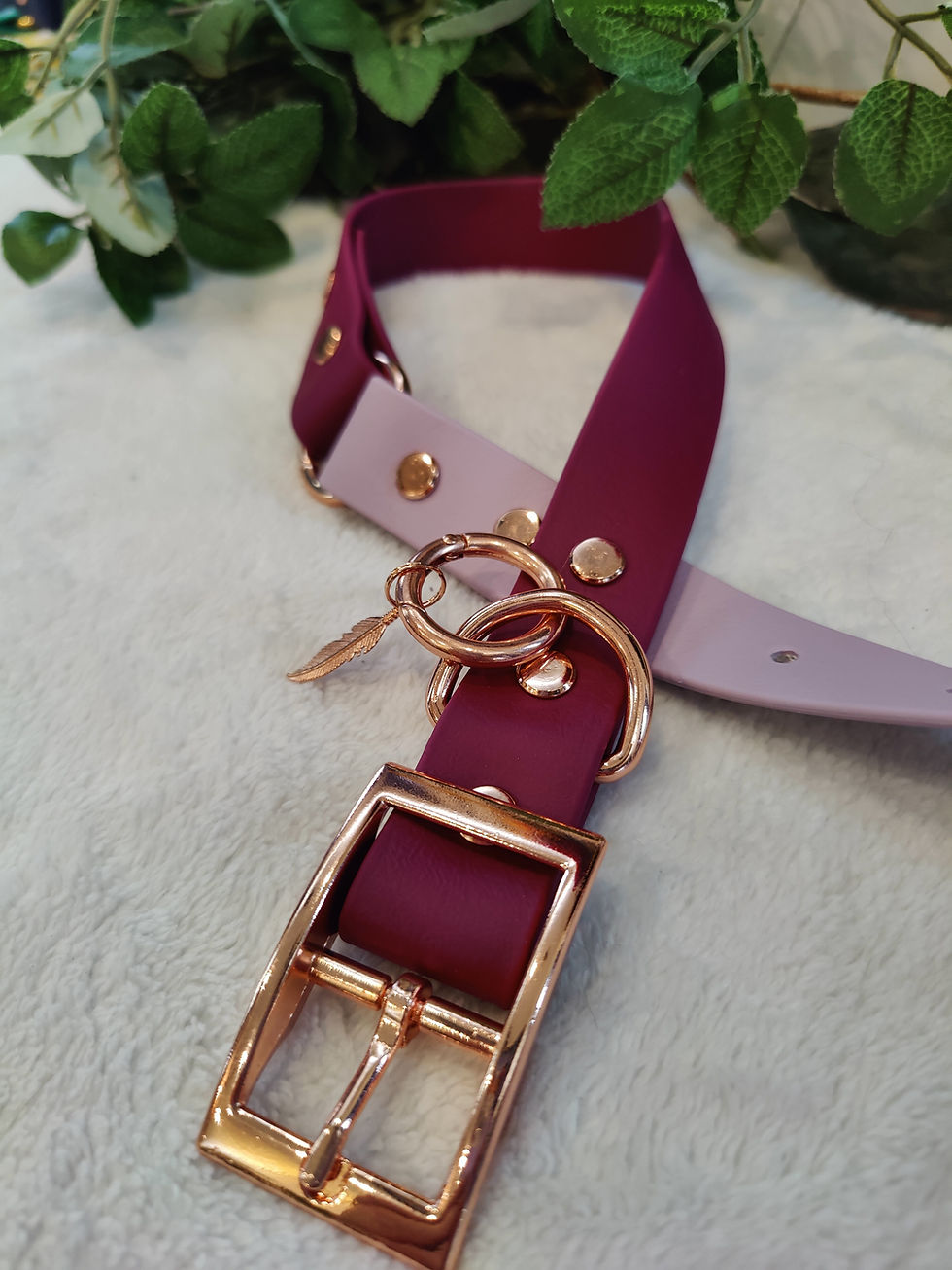Thumbnail: Enchanting Rose Biothane Collar