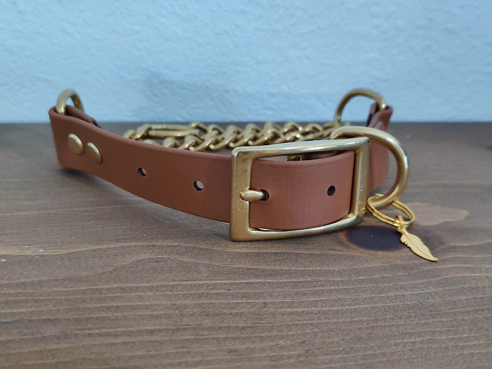 Thumbnail: Solid Color Martingale Biothane Collar