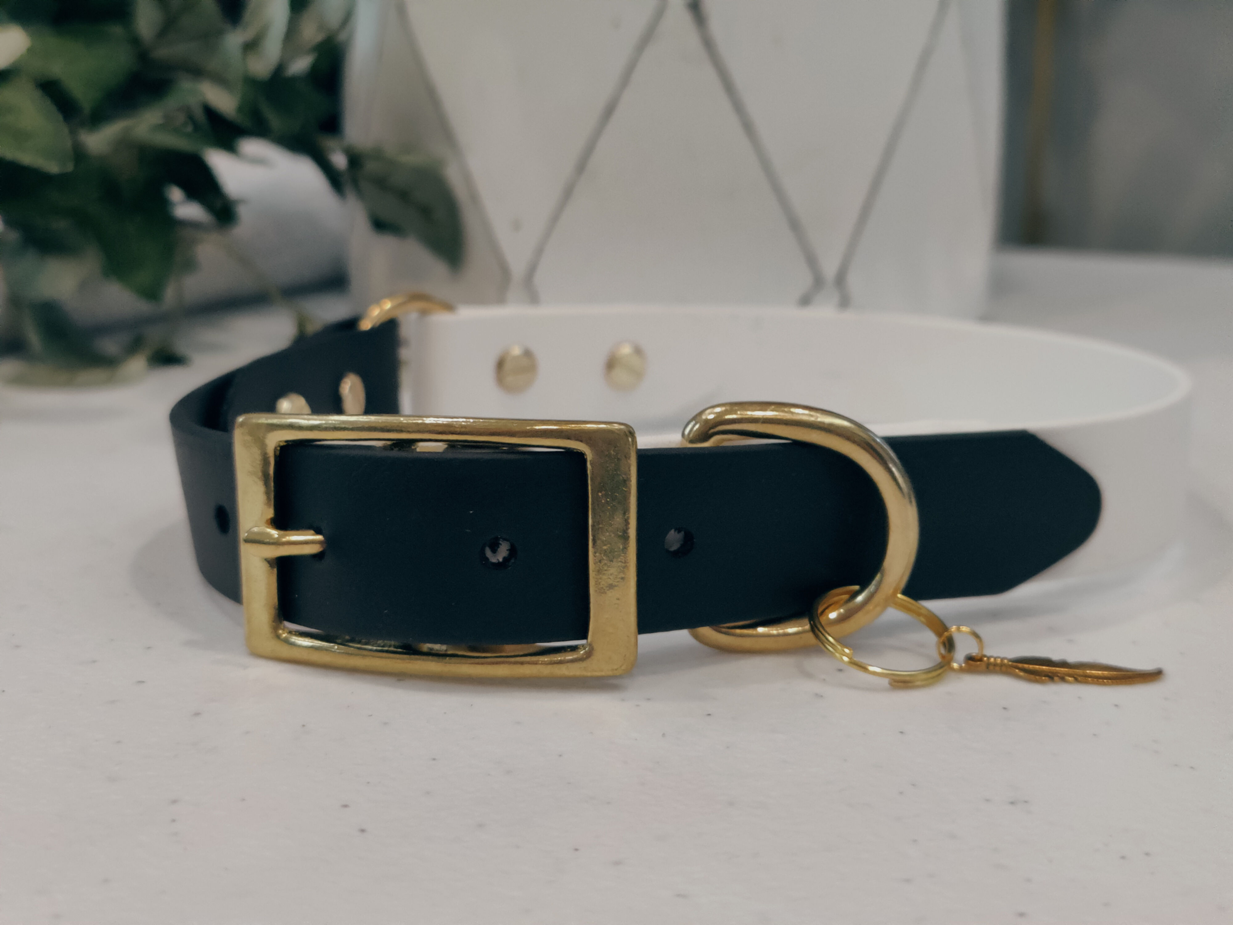 Onyx Frost Biothane Collar