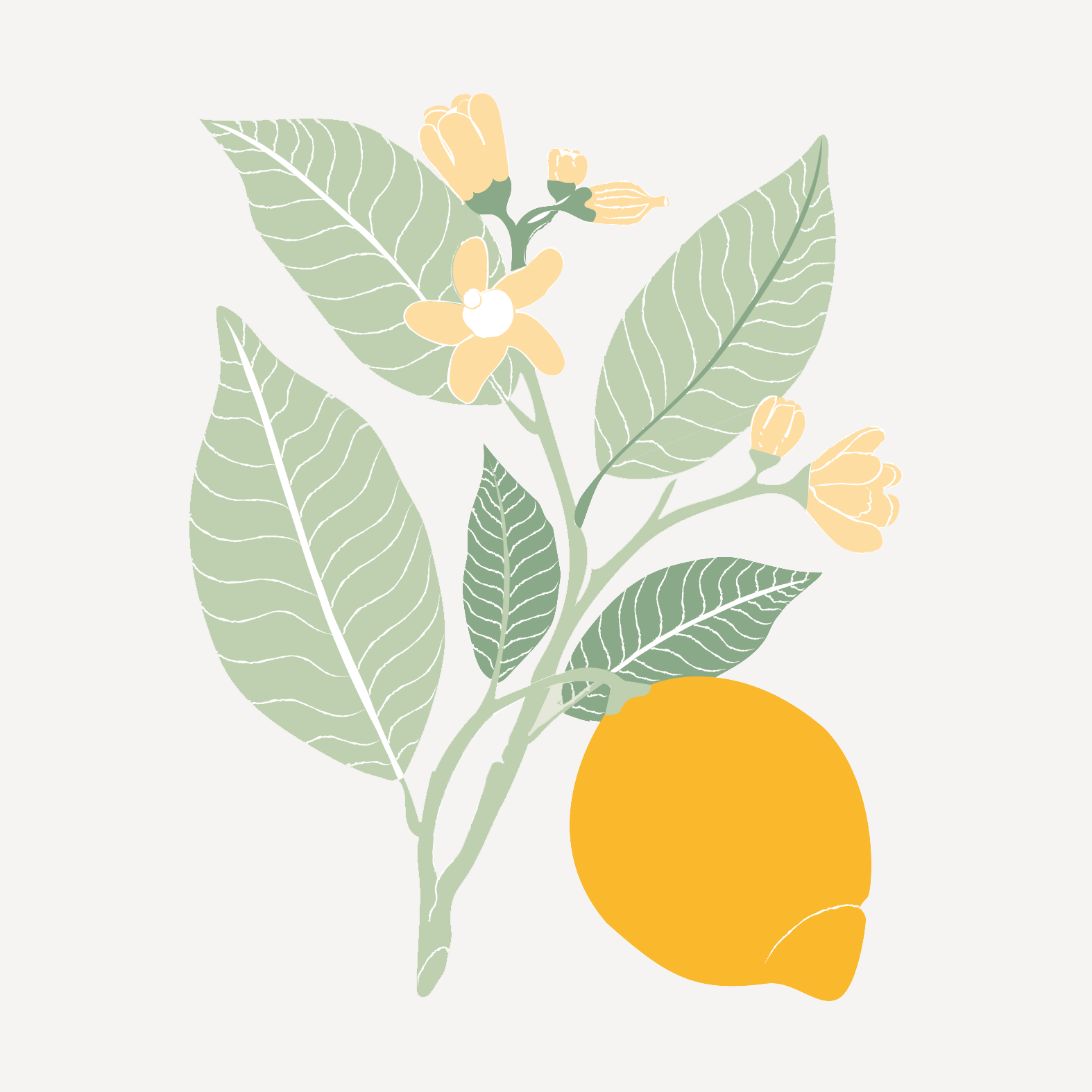 portfolio-edition-jouvence.gif