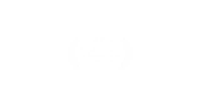 WorldFest-Houston_Bronze Best First Feature.png