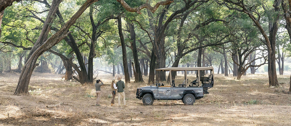 Kaingo Camp