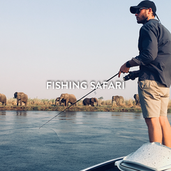 FISHING SAFARI.png