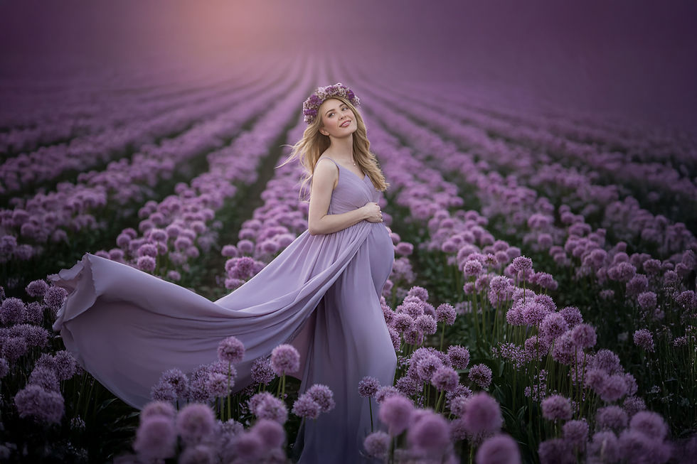 Champs fleurs violine.jpg