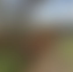 Habitat Team Meeting for Spring '26