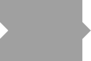 Bar-2.gif
