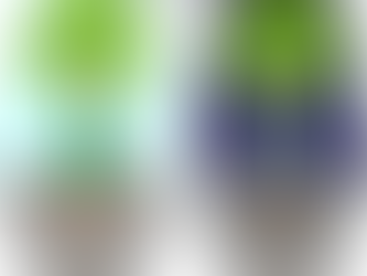 Treelia – Smart Solar-Powered Irrigation for Healthier Urban Trees