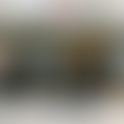 How 2025 Procurement Changes Shape Startup Pathways