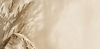 background.png