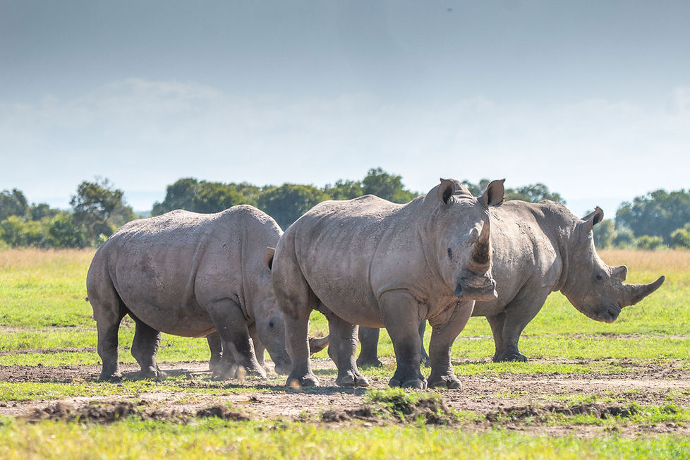 AdventureforRhinosDay4-11.jpg