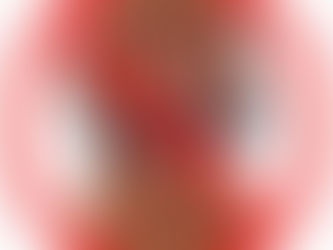 Chocolate pode matar seu cão! Nunca ofereça para ele!