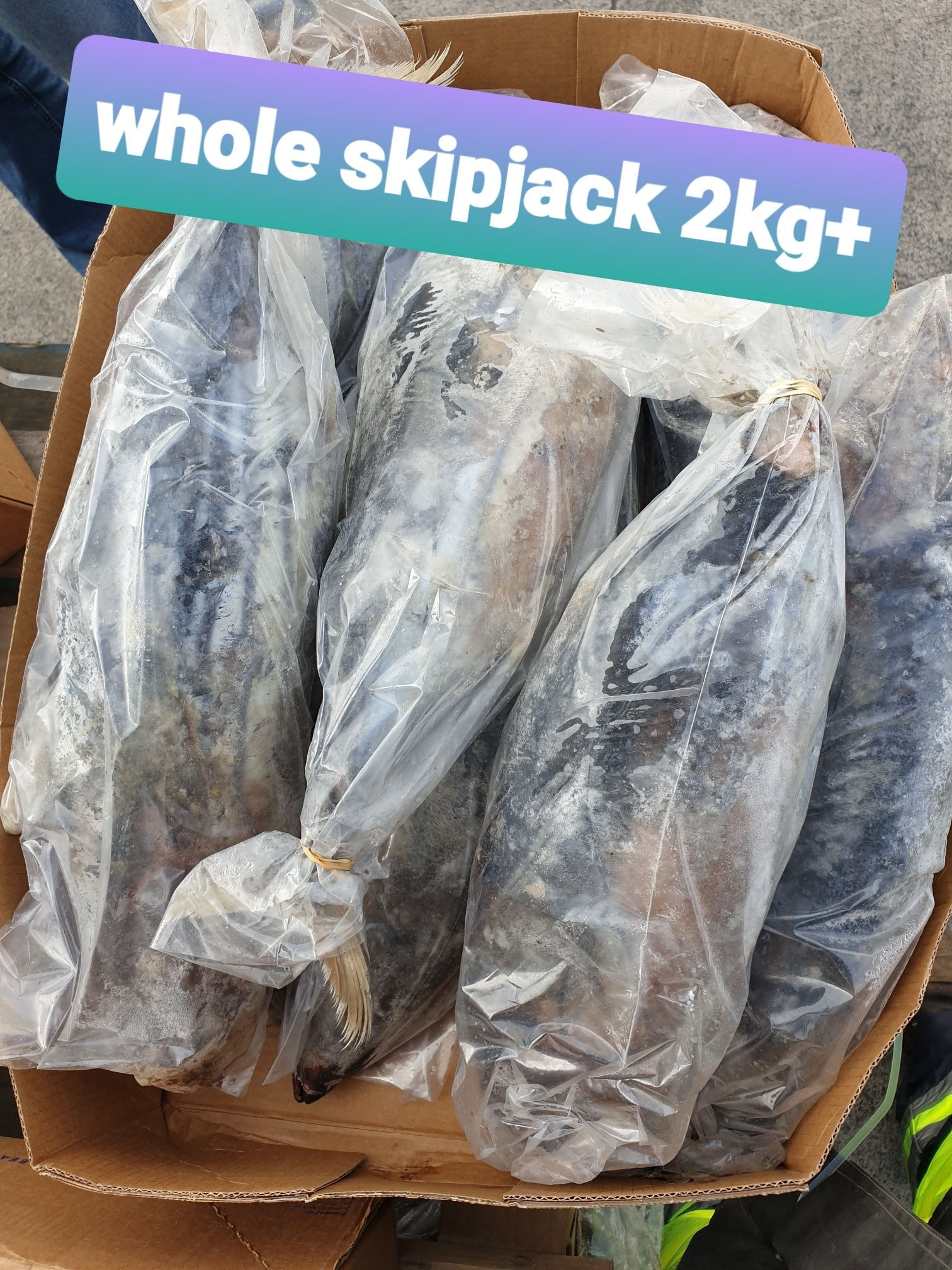 Single Bagged Skipjack 2kg