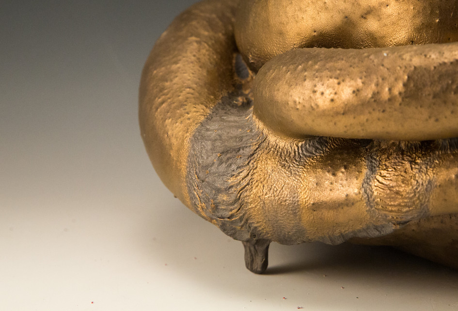 Fabricated Flablet 1 (Detail)