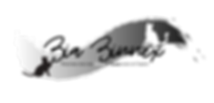 Copy of Copy of Untitled (1).png