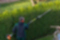 SWGMGrounds - Hedge cutting.jpg