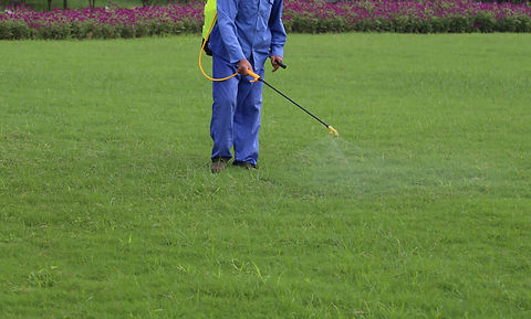 SWGMGarden - Lawncare.jpg