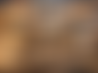 Foundations of Civic Literacy