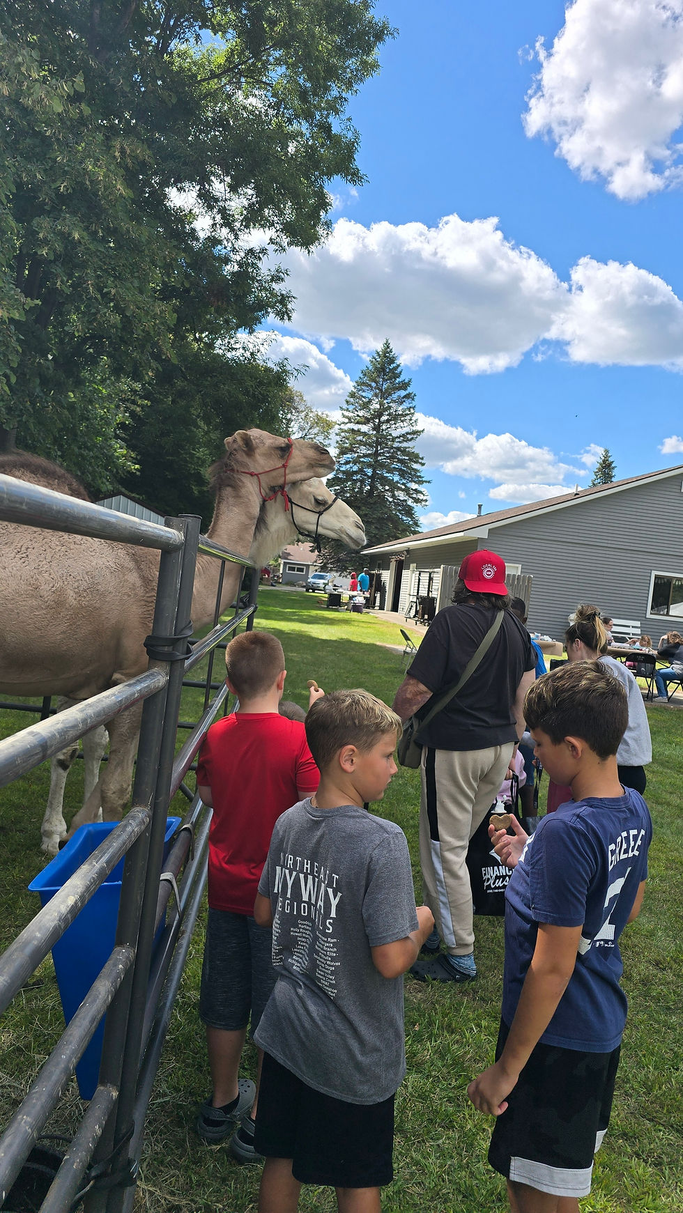 0e9528_17fae8d954af4f98a492e2bfa86e3abb~mv2 (1)