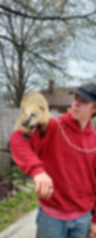 SAFARI 6