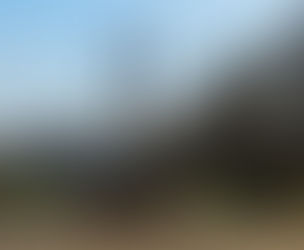 Crow on the Fountain