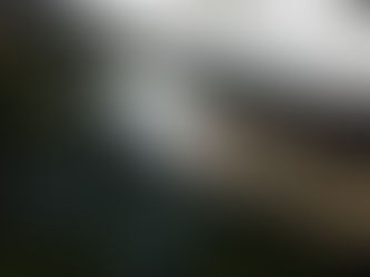 Nannie's back with her arm