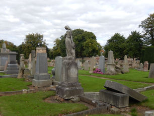 In Search of my Ancestors