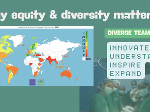 Grabación del seminario web disponible: Equidad y diversidad en África