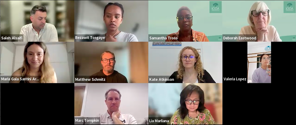 Recording of IODA Annual Member Meeting now available
