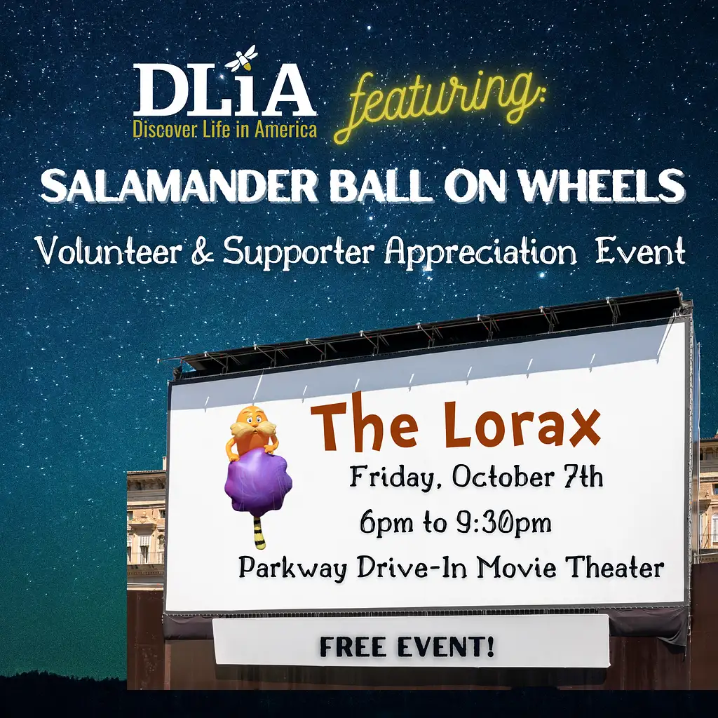 Salamander-Ball-on-Wheels-3-1.webp