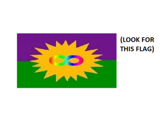 Copy of Untitled Design (6).png