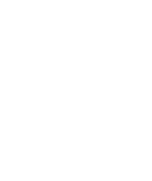 Straight_Line™_-_PART6_Prancheta_1.png