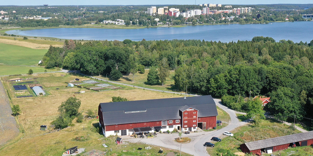 Ladan_0339 copy_edited.jpg