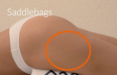 Saddlebags