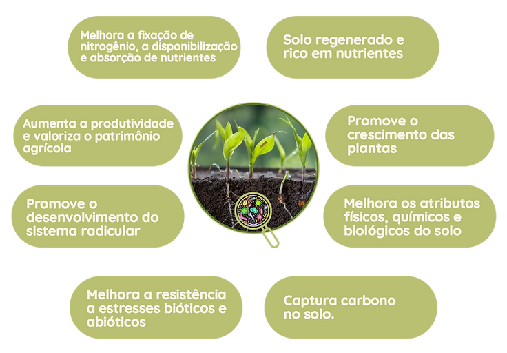 GEORAIZ - Site Pagina Biogem-32.png