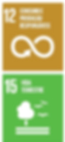 Ilustração com os ODS 12 e 15 da ONU