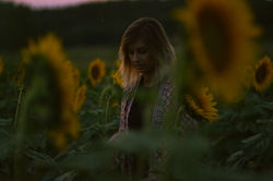 Celia tournesols