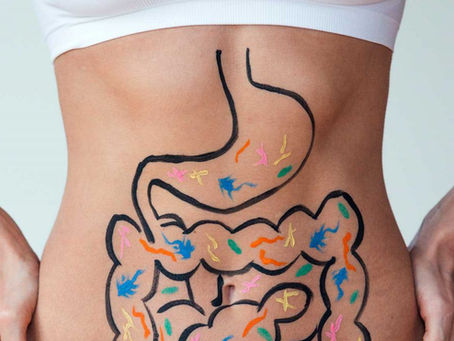 Gut Health: All you need to know
