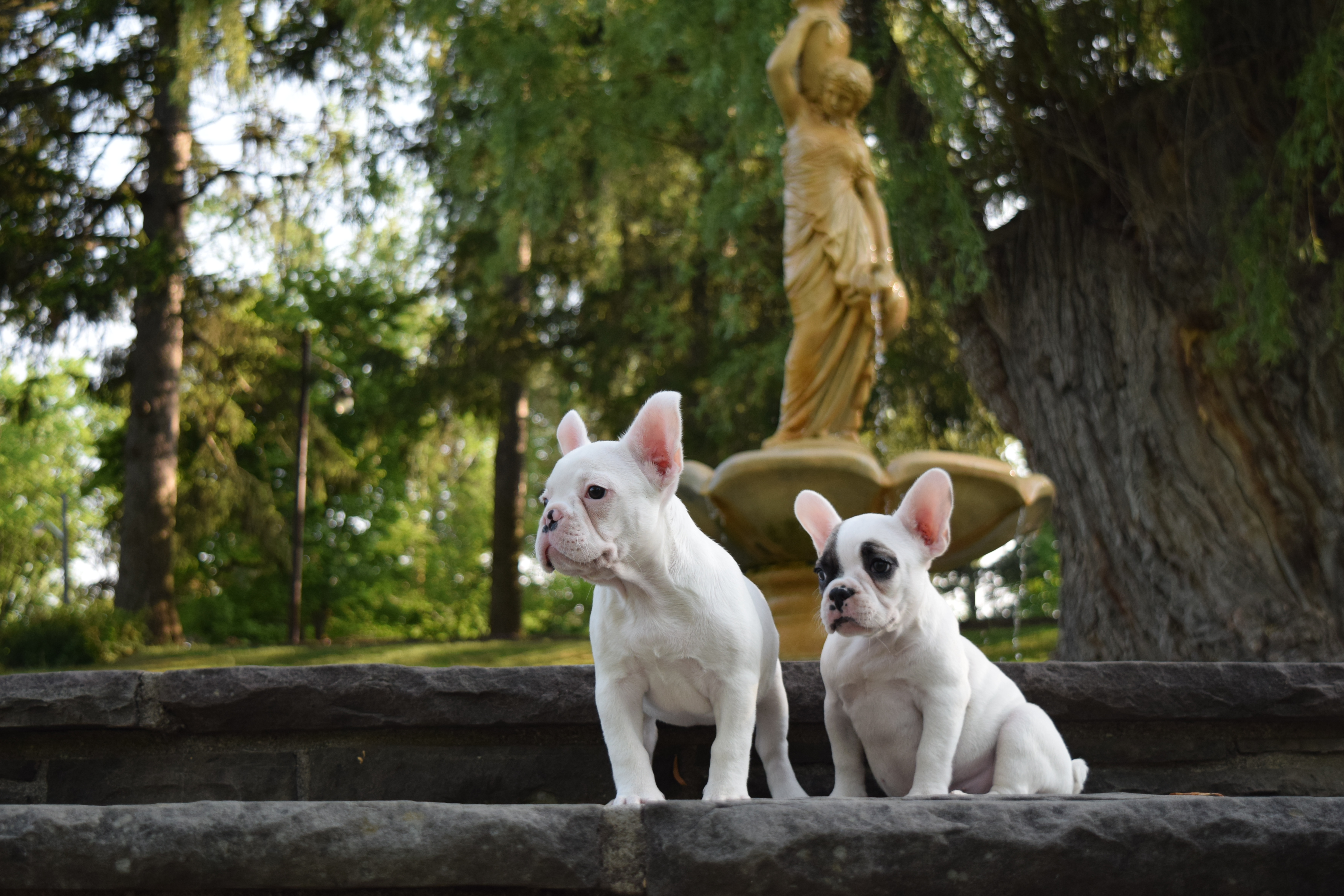 Chanel & Hazel